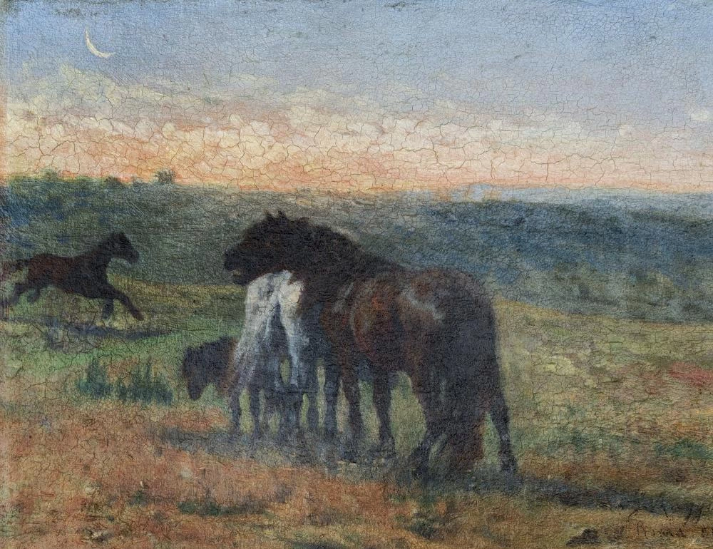 Cavalli nella campagna romana